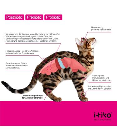 Itiko Digestive Snacks for Cats - Probiotic Treats - Promotes Digestion - Alternative to Clay - Psyllium for Diarrhea - Food Supplement for Cats - Buy Online on GoSupps.com