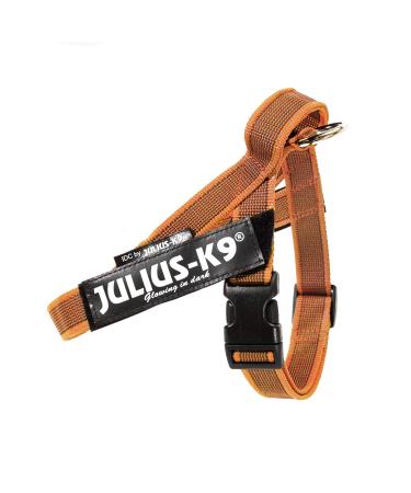 Julius-K9 Color & Gray Belt harness S / Mini orange-grey