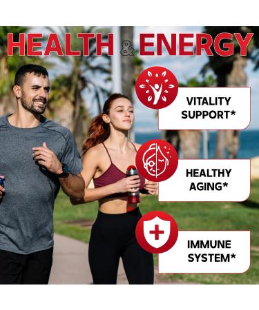 NAD Supplement with Nicotinamide Riboside, Trans-Resveratrol, Quercetin - Cellular Energy & Repair, Vitality, Healthy Aging - 60 Count 60 Count (Pack of 1) - Buy Online on GoSupps.com