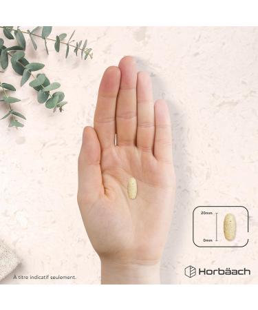 Cheveux Ongles Peau | 28 nutriments avec de la biotine du zinc du fer un complexe de vitamines B et bien plus encore ! | 120 Comprim s | Horbaach - Buy Online on GoSupps.com