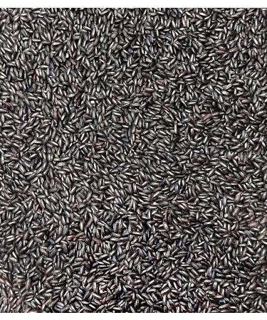 Sabarot - Forbidden black rice - 400g case - Buy Online on GoSupps.com