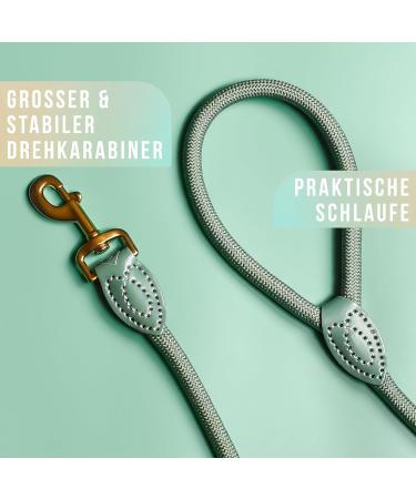 Premium 1.7m Dog Leash for Large Dogs - Durable Braided Training Rope | Sage Green - Buy Online on GoSupps.com