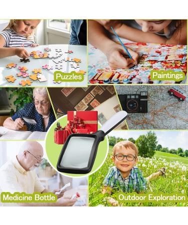 Folding Handheld Magnifying Glass with Light - 3X Large Rectangle Magnifier with Dimmable LED for Seniors and Low Vision - Ideal for Reading, Books, Newspapers - Great Gift for Macular Degeneration - Buy Online on GoSupps.com