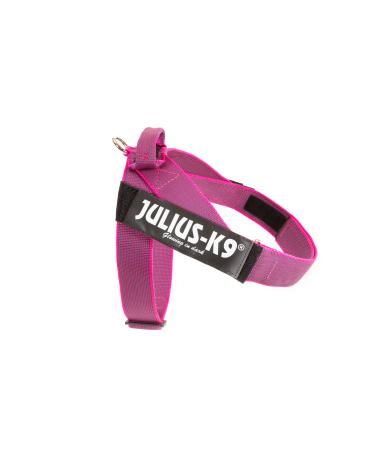 Julius-K9 Color & Gray Belt Harness XL / 2 pink-grey