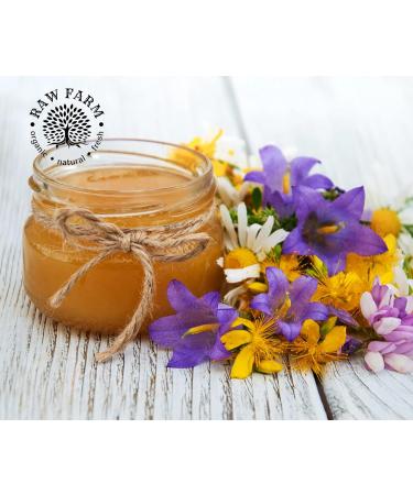 Organic Raw Wildflowers Bee Honey - 450g (Pack of 1) | Pure Farm Harvested Honey - Buy Online on GoSupps.com