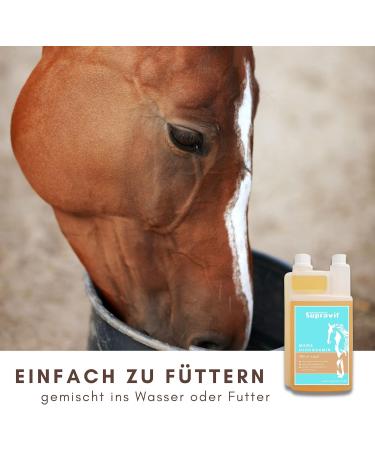 Supravit MSM & Glucosamine for Horses | 1000ml Liquid Joint Health Supplement | Support Tendons & Ligaments - Buy Online on GoSupps.com