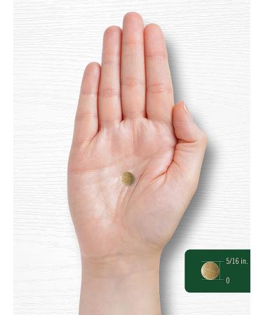 Ginkgo Biloba 3000mg | 400 Vegetarian Tablets | Non-GMO & Gluten-Free Supplement by Carlyle - Buy Online on GoSupps.com