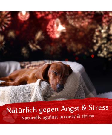 Belisy Calm Bach Flowers for Dogs & Cats - Natural Sedative for Stress & Fear - Alcohol-Free Emergency Globules - 10G - Buy Online on GoSupps.com