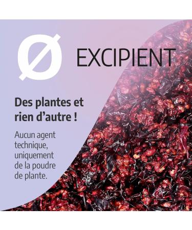 Grape Marc 360 mg - 200 capsules - Ecocert certified - Buy Online on GoSupps.com