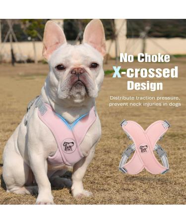 Buy Pawaboo No Pull Dog Harness with Leash Set - Adjustable X Frame Vest for Small & Medium Dogs - Comfort Fit Pink (L) | Free International Shipping - Buy Online on GoSupps.com