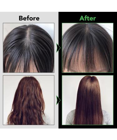 Valleylux Jamaican Black Castor Oil Shampoo Shampoo for Hair Growth Organic Against Loss with Biotin Deep Cleansing Repairing and Moisturising Women Men 300 ml - Buy Online on GoSupps.com