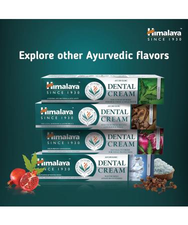 Himalaya Ayurvedic Dental Cream 100g (Clove 3 PACK) - Buy Online on GoSupps.com