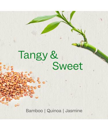 Renpure Bamboo & Quinoa Shampoo - Plant-Based Hair Restore Hydrate & Strengthen for Damaged Hair - 24 Fl Oz - Buy Online on GoSupps.com