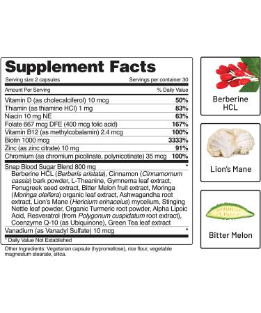 Blood Sugar Blend Supplement with Berberine, Cinnamon, Turmeric & More - 60 Capsules by Snap Supplements - Buy Online on GoSupps.com