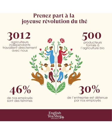 English Tea Shop - Coffret th de No l bio - S lection d'hiver rouge - 4 th s de No l - Bo te de 12 sachets - Coffret cadeau th offrir - Cadeau de No l petit prix - Buy Online on GoSupps.com