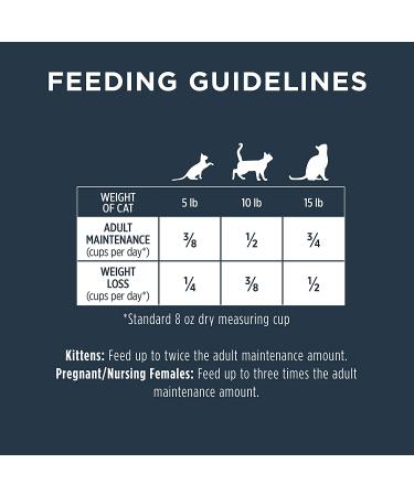 Instinct Raw Boost Grain Free Dry Cat Food - Chicken, 10lb Pack - High Protein Kibble + Freeze Dried Raw Formula - Buy Online on GoSupps.com