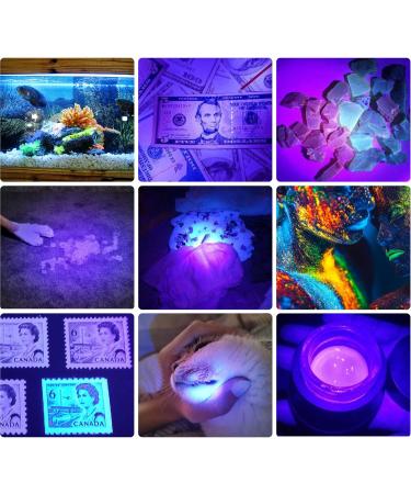 Darkbeam UV Flashlight 395nm - Portable Black Light Detector for Pet Stains & Dog Urine | Mini LED Flashlight | 1 Pack - Buy Online on GoSupps.com