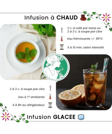  Ascenbio Ascenbio Organic Peppermint Leaves Dried Mint for Green Tea Iced Tea Digestion Herbal Tea 180g Bulk Prepared and packaged in France Biodegradable Packaging - Buy Online on GoSupps.com