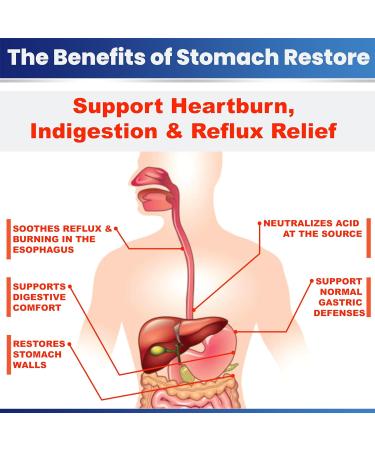 Stomach Restore: Natural Heartburn Relief & Quick Reflux Aid - 120 Servings | Fast Indigestion Relief Supplement - Buy Online on GoSupps.com