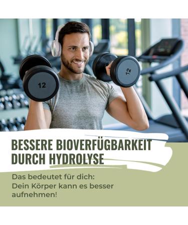  Hans HANS Brainfood Organic Fermented Pea Protein Powder ULTRA Creamy 90% Neutral 1 kg Creamy vegan protein powder with an optimal amino acid profile and high soluble content Powder - Buy Online on GoSupps.com