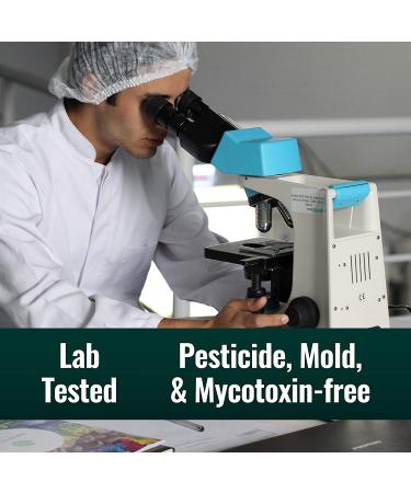 Natural Force Organic Clean Coffee Classic | Mold & Mycotoxin Free | Lab Tested | Low Acidity | Incredible Taste | Whole Bean Medium Roast 12 oz - Buy Online on GoSupps.com