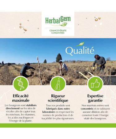 HERBALGEM - Organic Virgin Vine - Concentrated Gemmotherapy Dietary Supplement - Fresh Bud Extract - For Circulation Antioxidant Skin & Cardiovascular Health - Vegan - 30 ml - Buy Online on GoSupps.com