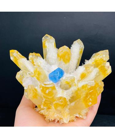 Natural Crystal Rough Natural Crystal 1Pcs Natural Ghost Phantom Quartz Crystal Cluster Rock Stones and Crystals Specimen Home Deco (Size : 600-650g) - Buy Online on GoSupps.com