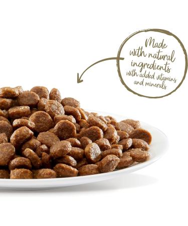 Applaws Adult Cat Dry Food - Chicken & Lamb Grain-Free 7.5kg | International Shipping - Buy Online on GoSupps.com