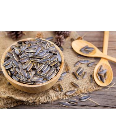Chacha Roasted Salted Sunflower Seeds - Premium Chinese Snack | 130g x 2 Pack - Buy Online on GoSupps.com