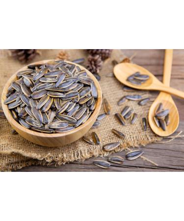 Buy Chacha Roasted Salted Sunflower Seeds - Premium Quality Snack from China | 130g Pack - Buy Online on GoSupps.com