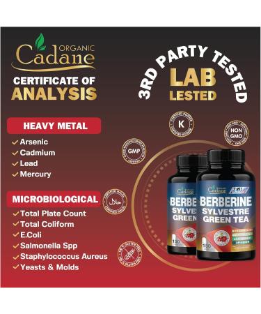 Cadane Berberine Extract - Berberine Supplement with Gymnema Sylvestre Green Tea & More - 150 Capsules for Immune System Digestion Health Support - Buy Online on GoSupps.com