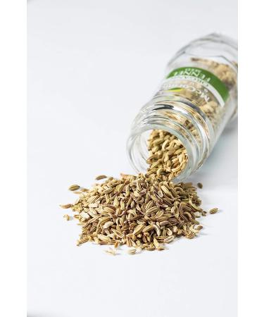 McCormick Gourmet Organic Fennel Seed 1 oz - Premium Quality Spice - Buy Online on GoSupps.com