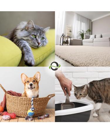 Buy Ecodor UF2000 4Pets Urine Odor Neutralizers Duo Pack (2x 500ml) - 100% Organic Powerful Formula for Dogs Cats & Small Animals - Buy Online on GoSupps.com