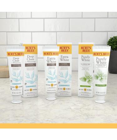 Burt's Bees Purely White Zen Peppermint Toothpaste - 4.7oz (3 Pack) | Natural Flavor, Fluoride Free - Buy Online on GoSupps.com