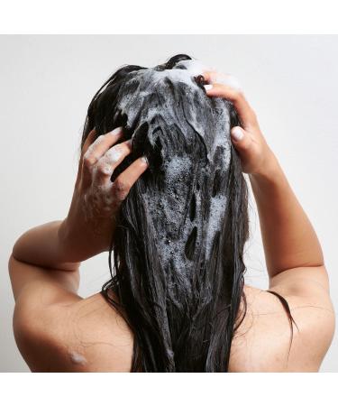 Terre de Mars Irreverence Hair and Body Cleanser - 3.52 FL Oz | Premium Eco-Friendly Cleanser for Hair & Skin - International Shipping Available - Buy Online on GoSupps.com
