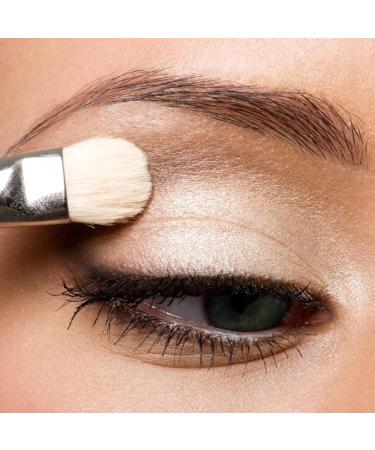 10 Colors Bright Glitter Eyeshadow Palette Natural High Pigmented Shimmer Makeup Colorful Vibrant Make Up Pallets Kit Sillervan 04# - Buy Online on GoSupps.com