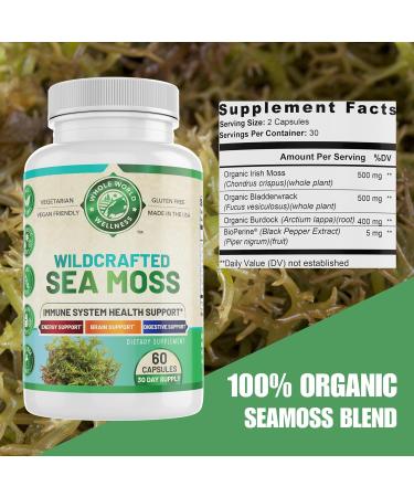 WHOLE WORLD WELLNESS Organic Sea Moss | Immune Support & Brain Health | Bladderwrack, Burdock Root & Bioperine | All Natural, Dairy Free, Gluten Free | 60 Capsules | Made in The USA. - Buy Online on GoSupps.com