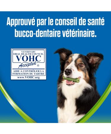 PURINA DENTALIFE ACTIVFRESH LARGE | Treats for Large Dogs | 4 Chew Sticks | Spirulina and Honey | Pack of 1 | 115 g - Buy Online on GoSupps.com