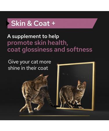 PRO PLAN Cat Skin and Coat Supplement | Skin health support lustrous coat | with salmon oil linseed oil omega 3 omega 6 vitamin E | Adult and Senior cats | Oil 150 ml Cat Supplements 150 ml (Pack of 1) - Buy Online on GoSupps.com