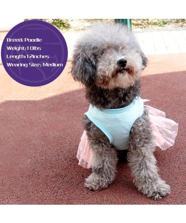 Cute Cartoon Bunny Eggs Dog Easter Dress for Small Dogs - Happy Easter Outfit - Buy Online on GoSupps.com