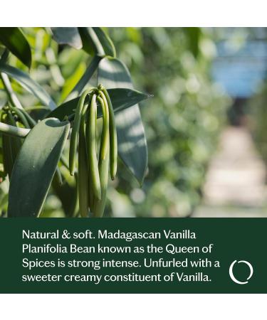 LIVEDROPS 24/7 Good Vanilla Essential Oil Blend Natural Vegan Aromatherapy for Diffuser or Diluted Skin Use Sweet Warm Creamy Scent Made in France Bottled in USA Clinically Tested 10ml - Buy Online on GoSupps.com