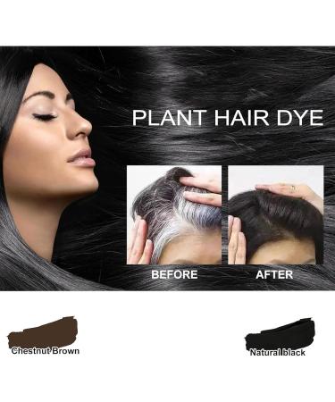 Nourishing Plant-Based Hair Color Long-Lasting & Natural Hair Color Shampoo Even And Natural Gray Hair Coverage Softens and Adds Shine for Men Women (Natural Black) - Buy Online on GoSupps.com
