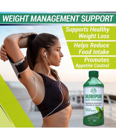 Country Farms Chloropure Liquid Chlorophyll Mint - 16 fl oz | Refreshing Green Wellness Boost - Buy Online on GoSupps.com