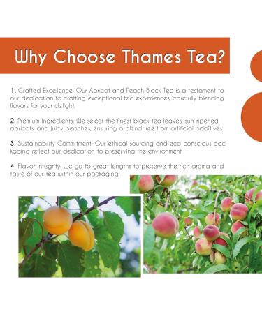 Thames Tea Premium Selection: Apricot & Peach Black Tea Tubebox | Luxury British Loose Leaf Fruit & Herbal Tea - Buy Online on GoSupps.com
