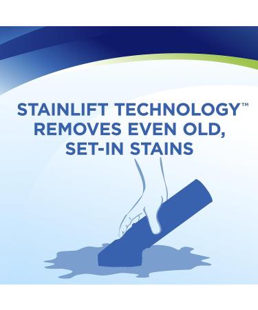 Woolite Carpet and Upholstery Cleaner Stain Remover 4 Pack - 12 Oz Each (83524) - Buy Online on GoSupps.com