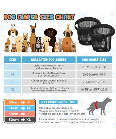 3 Pack Dog Diapers with 9 Women's Bands - XL Black Heat Sequence Underpants for Bitches | Washable Protective Pants - Buy Online on GoSupps.com