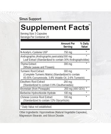 EquiLife Sinus Support - Promotes Nasal Congestion & Mucus Relief - Immunity Boost with Herbs, Antioxidants & Amino Acids - Gluten-Free - 20 Servings - Buy Online on GoSupps.com