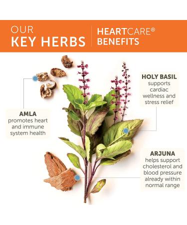Himalaya HeartCare - 240 Vegetarian Capsules for Heart Health Support - Buy Online on GoSupps.com