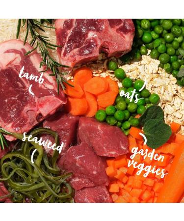 Barking Heads Complete Dry Dog Food 12kg - Adult All Hounder Bowl Lickin' Goodness Lamb - Natural Everyday Immunity & Vitality - Vet Approved Lamb 12 kg (Pack of 1) - Buy Online on GoSupps.com