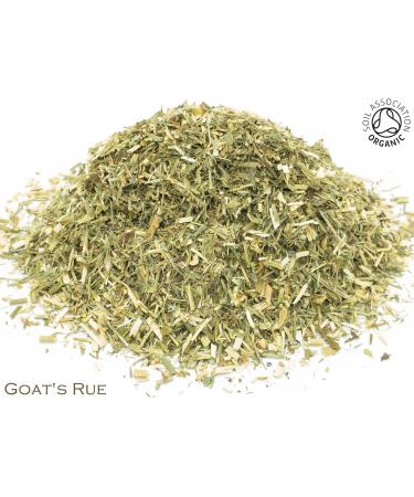 Organic Goat's Rue Pure Herbal Infusion (25 Unbleached Tea Bags - 50g) - Buy Online on GoSupps.com